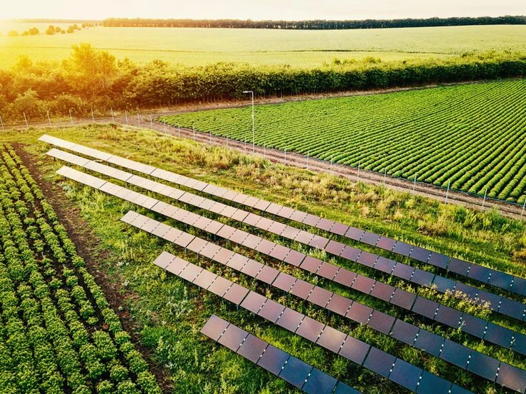 illuminate Your Agriculture: Embrace a Greener Future Using Our Next-Gen Solar Productsost Title