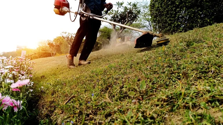 The Environmental Impact of Lawn Mowing & How to Reduce It
