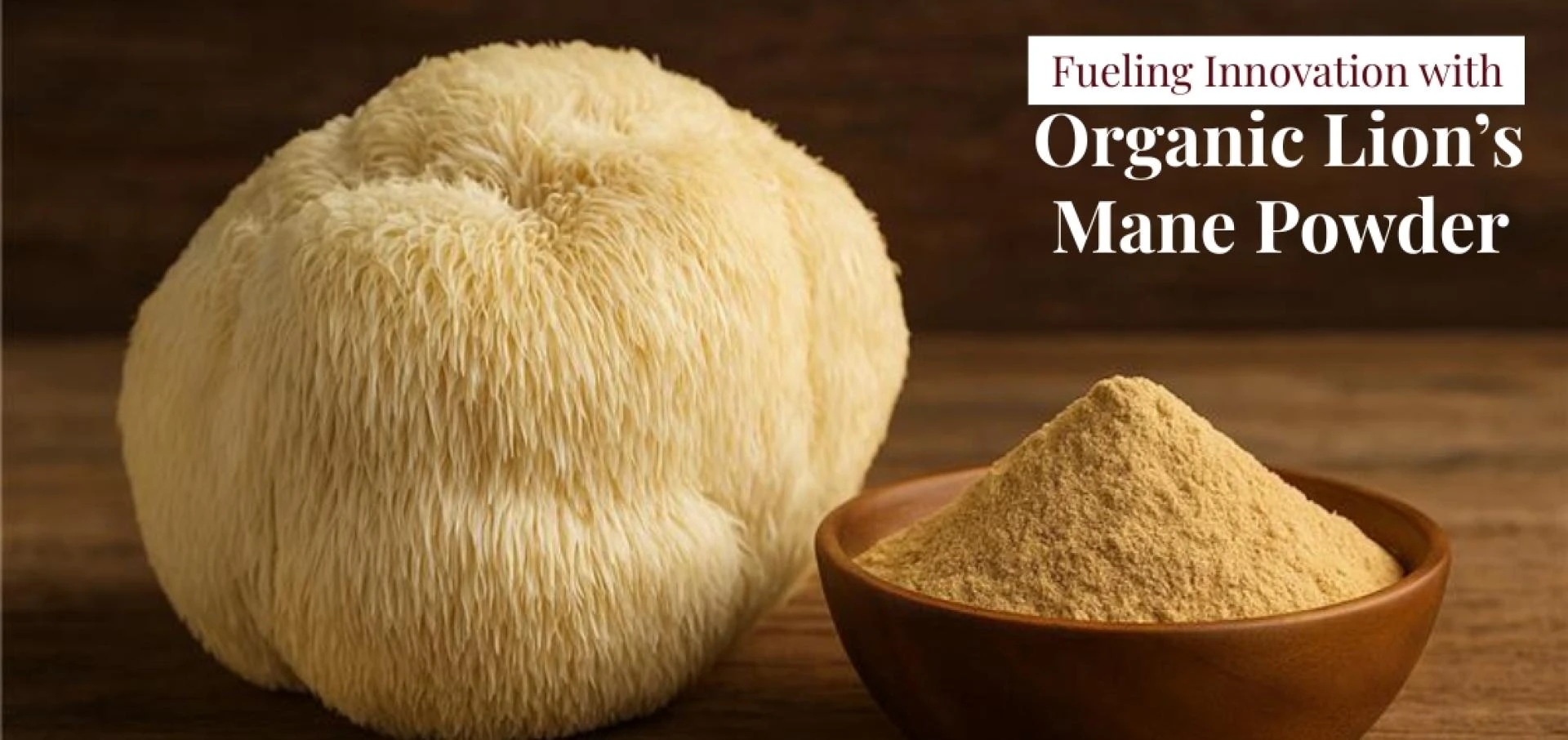 Organic Lion's Mane: The Cognitive Boost Your B2B Products Are Missing 