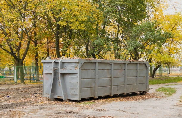 What type of items can you dump into a dumpster rental?