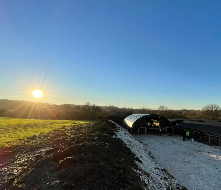 Zelte für die Landwirtschaft: Schweine im Stall züchten