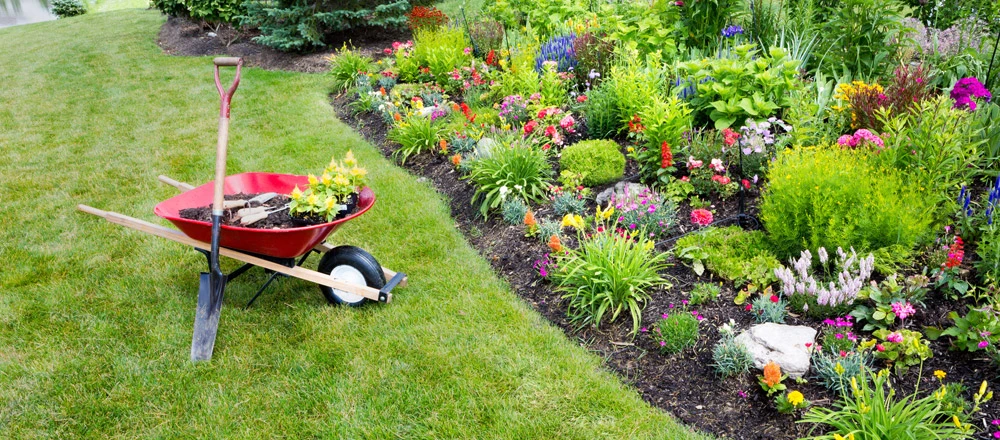 10 Creative Landscaping Tips to Boost Your Curb Appeal