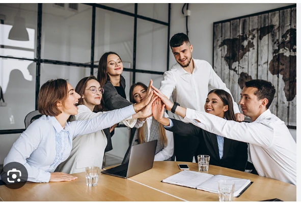 Understanding and Thriving in Workplace Culture