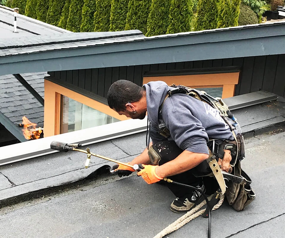 Roof Repair: What Every East LA Homeowner Should Know