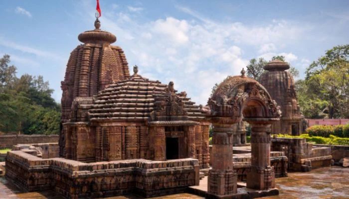 Adventure & Wildlife Theme Tour Packages in Odisha: A Journey Worth Taking