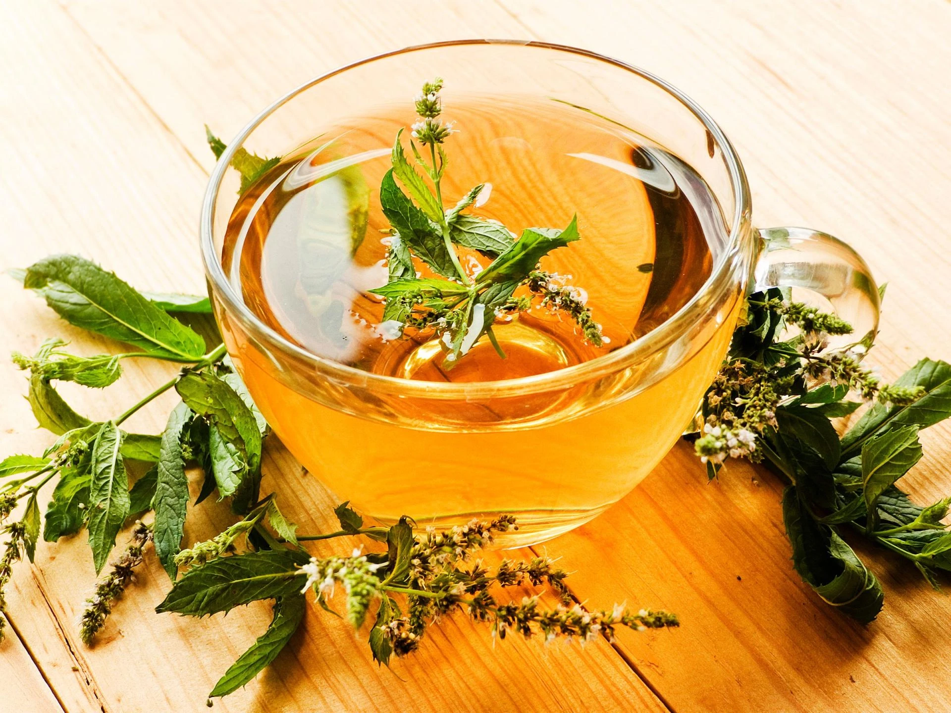 Top 10 Natural Teas for a Healthy Pregnancy Journey - HolyIndia
