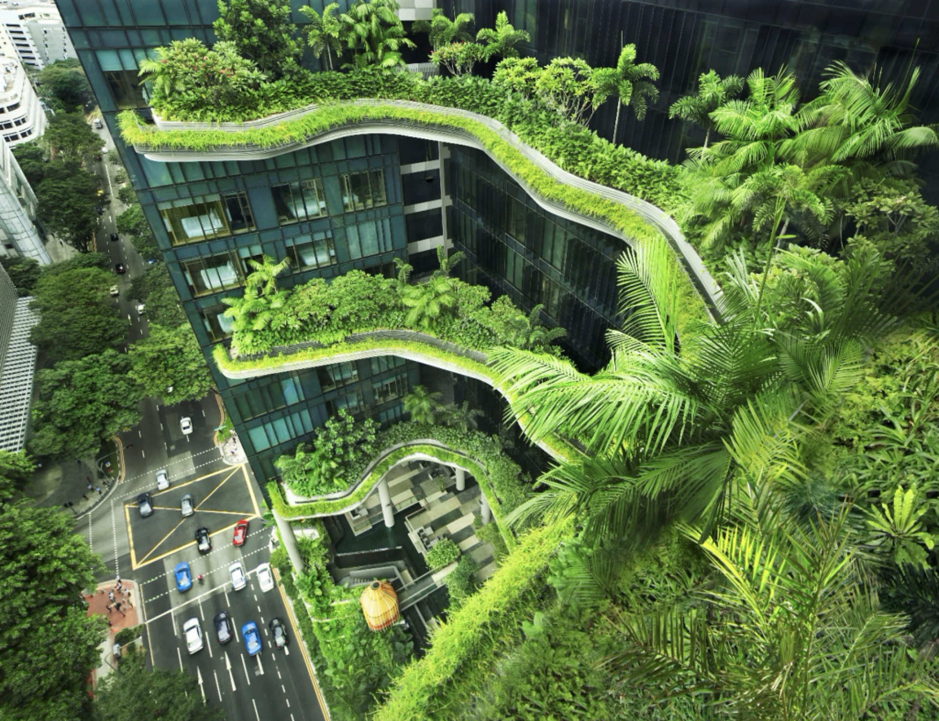 Integrating Landscape Design Into Commercial Property Planning