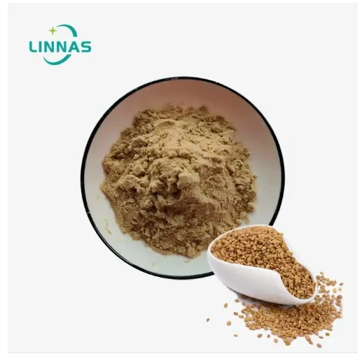 Fenugreek Seed Extract Powder: A Natural Solution for Digestive Health