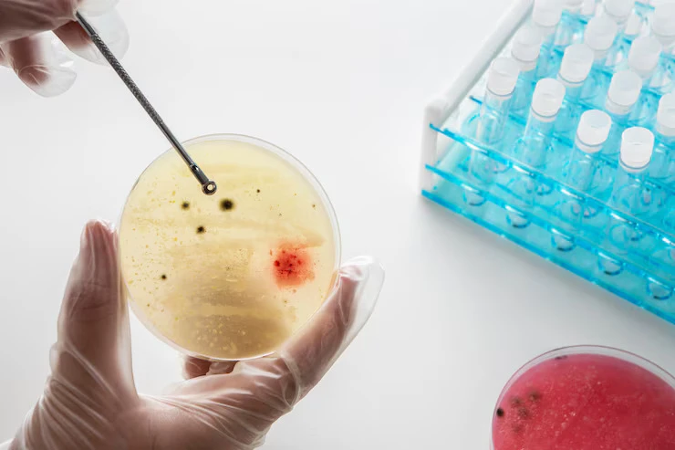 Advancements in Cancer Biopsy: From Needle to Liquid Biopsies and Beyond