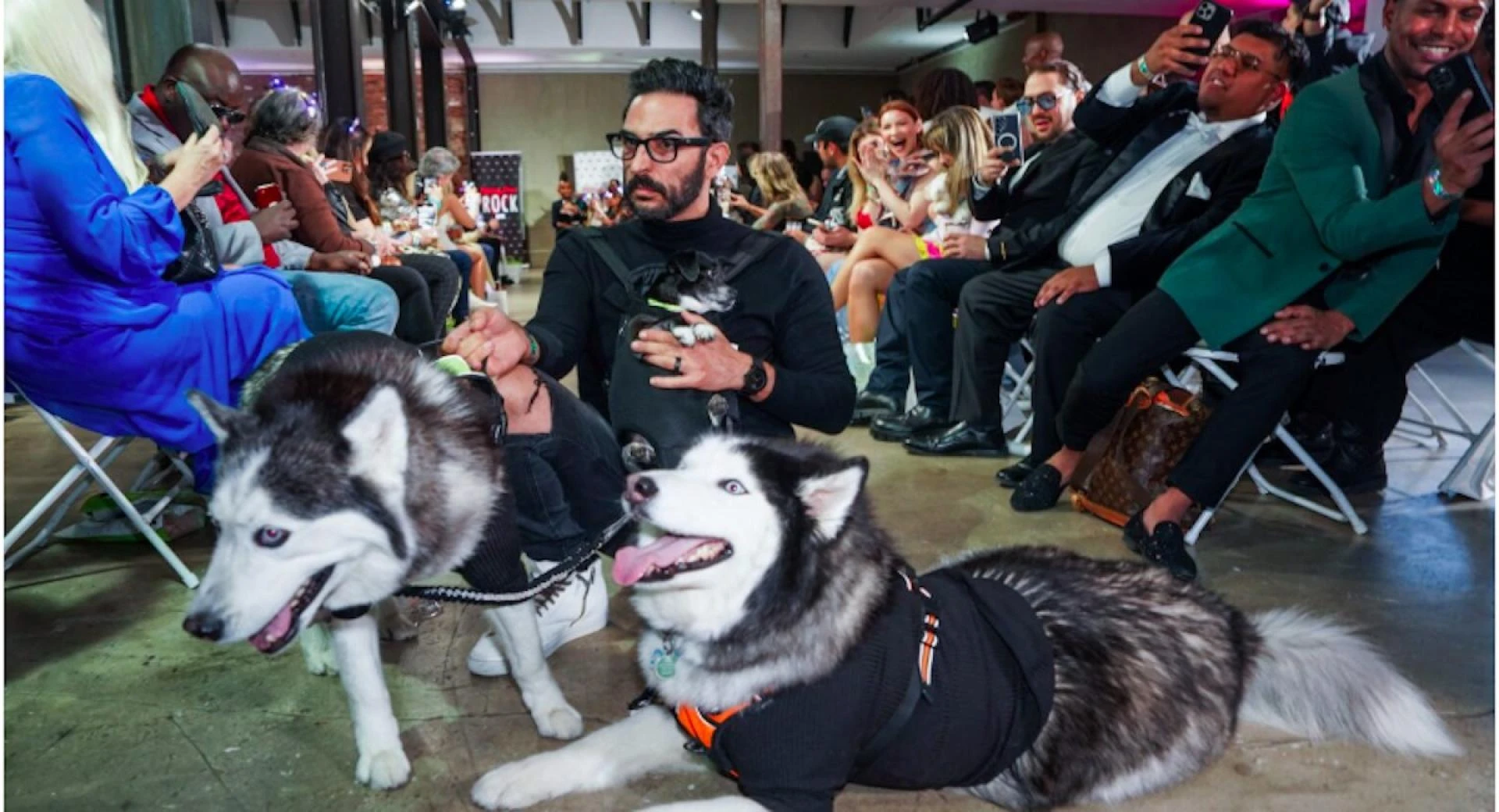 Visual Complexity: Fractals in Art and Fashion Journalism