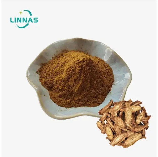 Unlocking the Potential of Burdock Root Extract Powder for Digestive Health