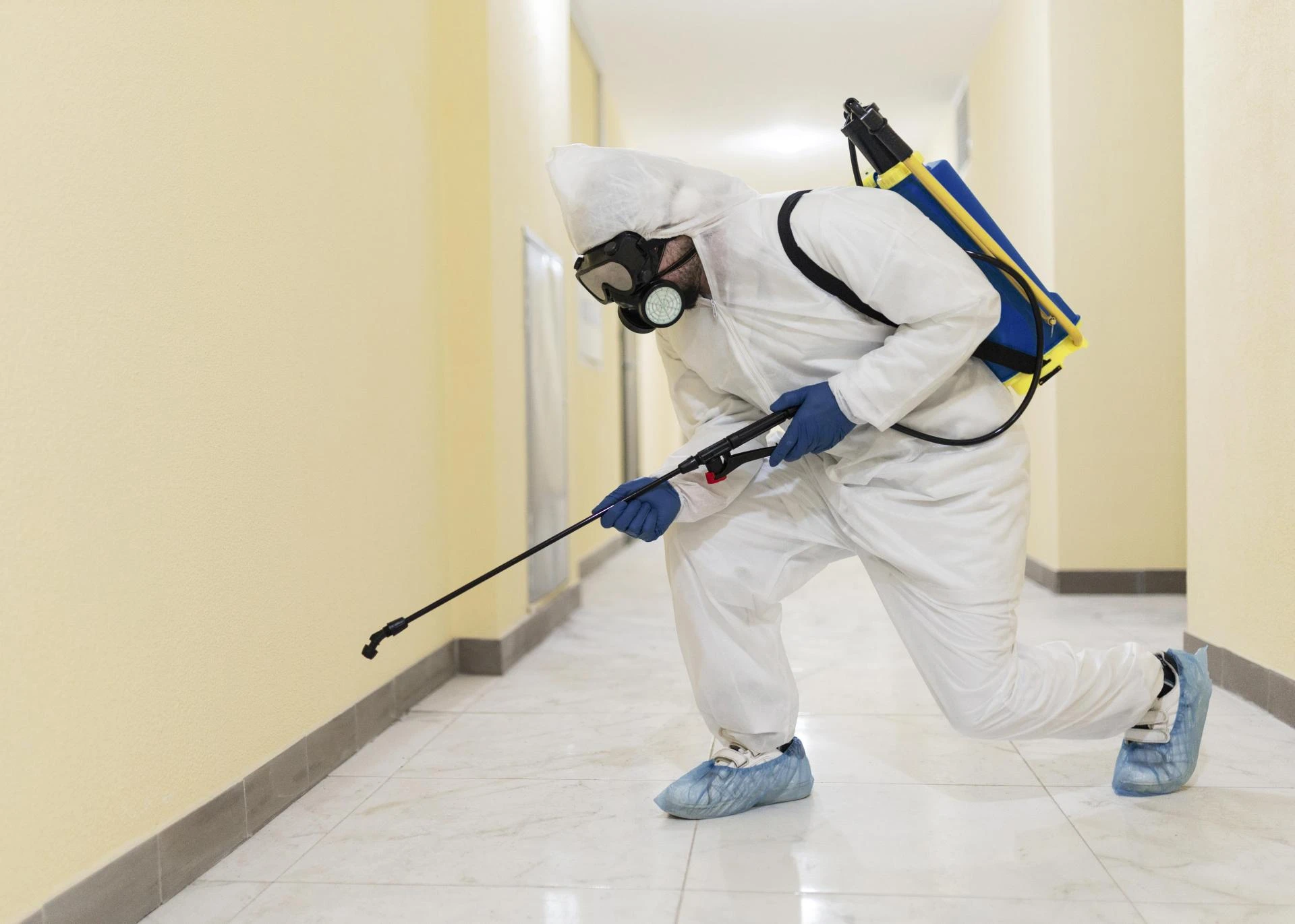 Pest Control Services in Manesar, Gurgaon: Ensuring a Pest-Free Home and Business