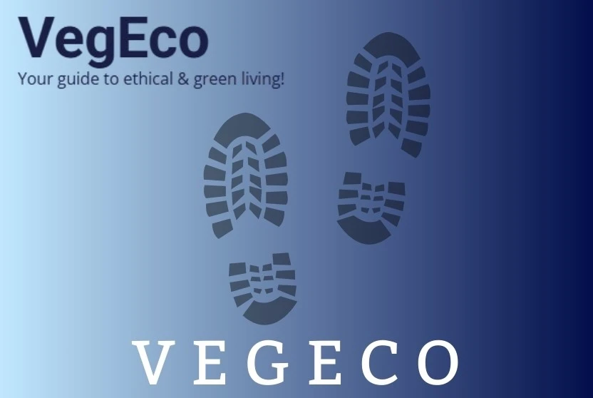 Discover Vegeco: Your Partner in Carbon Footprint Solutions