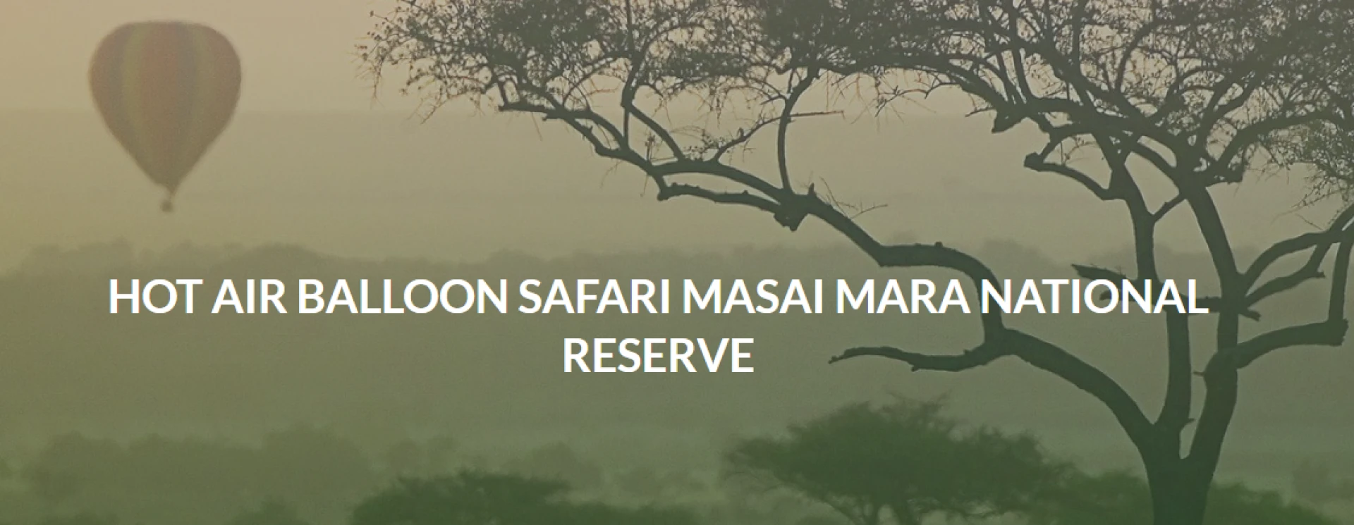 Soar Above the Wild: Hot Air Balloon Safari in the Masai Mara
