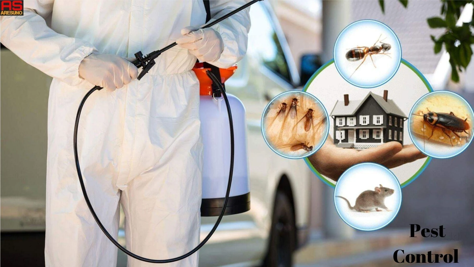 The Real Deal on Pest Control Training: What It Takes and What It Costs