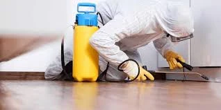 The Hidden Dangers Lurking in Your Walls: Why Professional Pest Control Is a Smart Investment