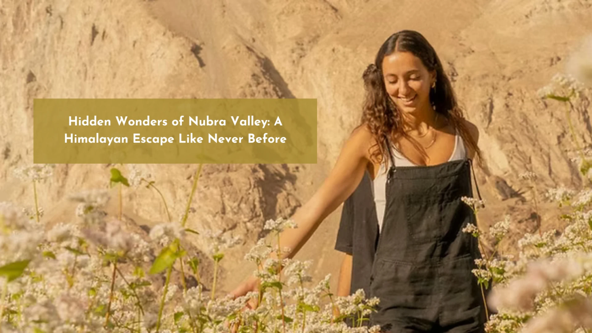Hidden Wonders of Nubra Valley: A Himalayan Escape Like Never Before