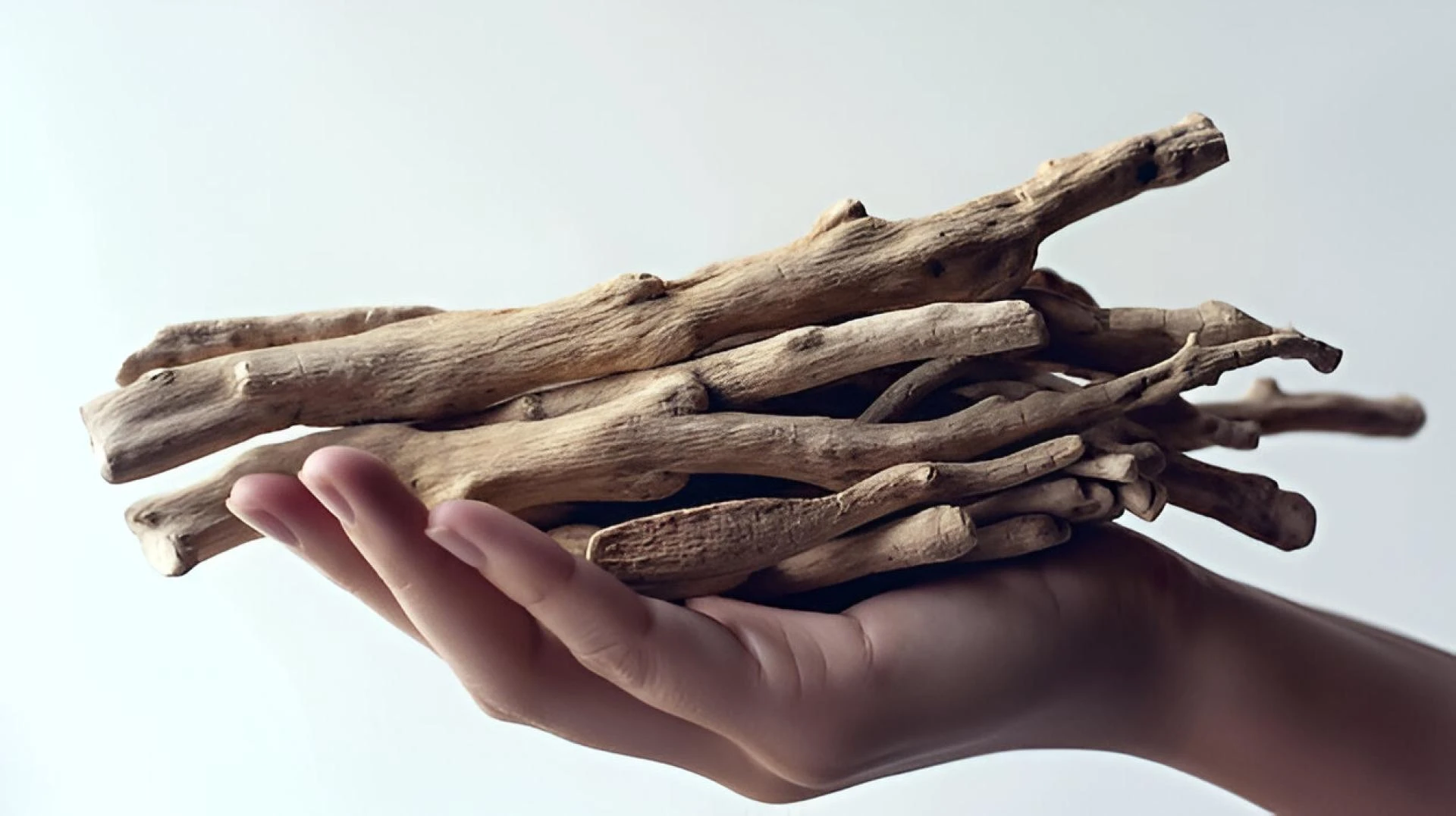 Shatavari for Men and Women: A Natural Boost for Wellness