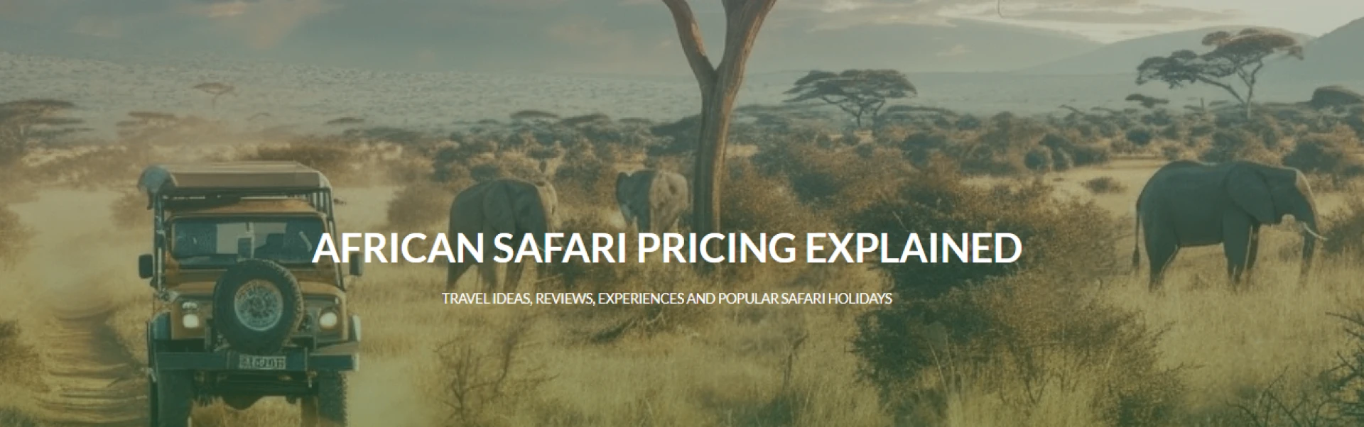 How Much Does It Cost to Go on a Safari in Africa?