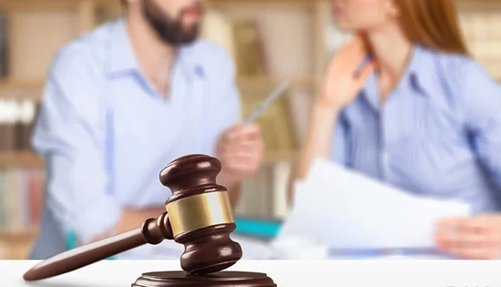 Venus Detective: Uncovering Truth with Discretion and Expertise