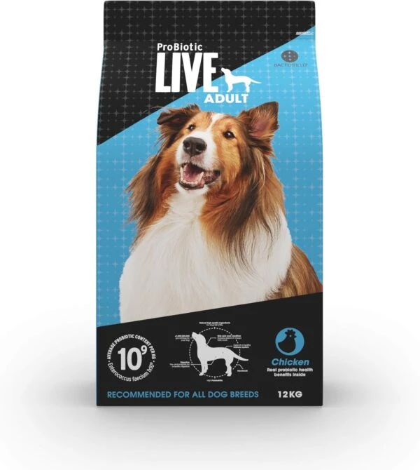 Feeding Your Dog Right: A Guide to Choosing Quality Dog Food in the UAE