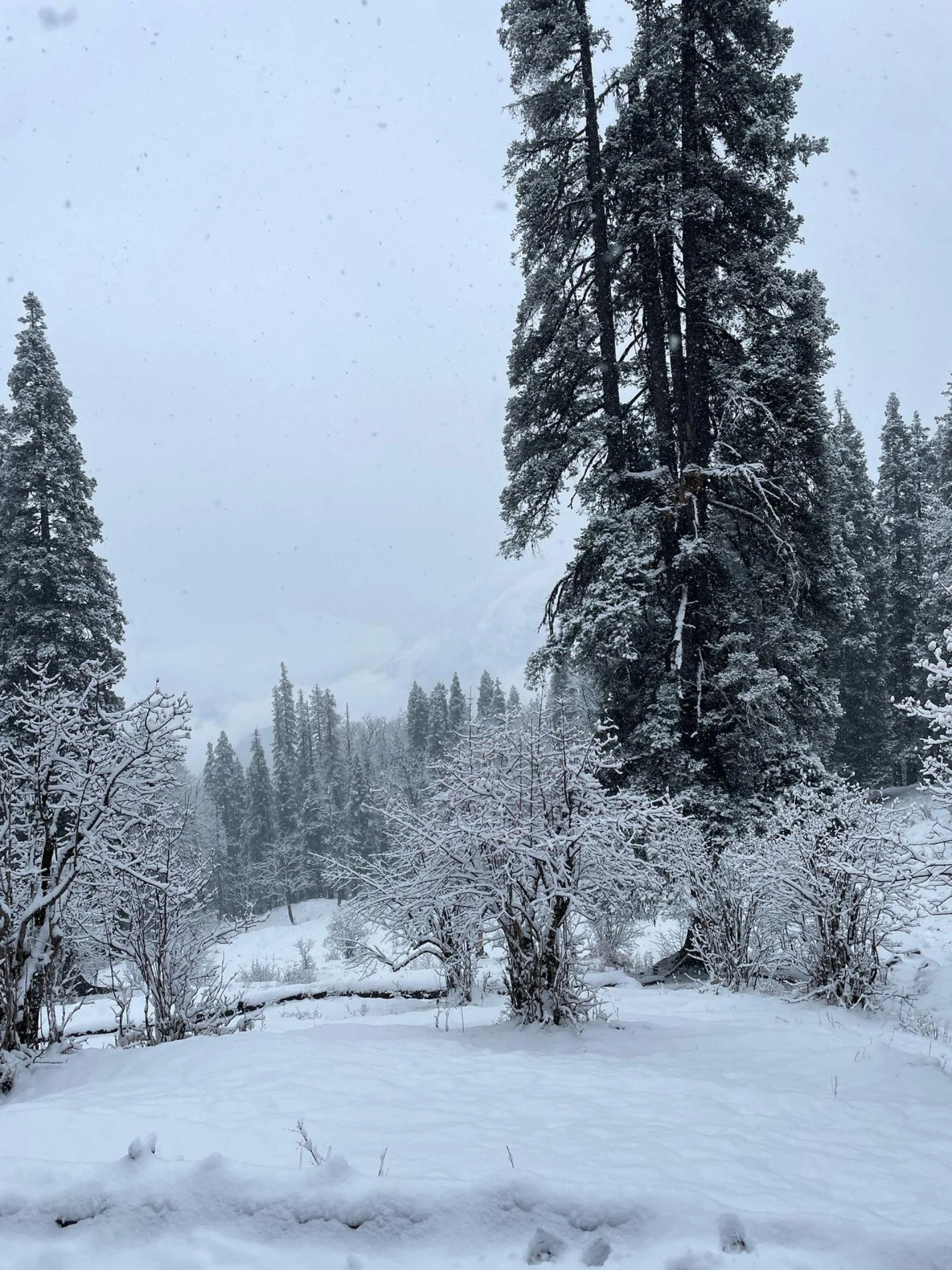 Hampta Pass Trek: A Himalayan Adventure Like No Other