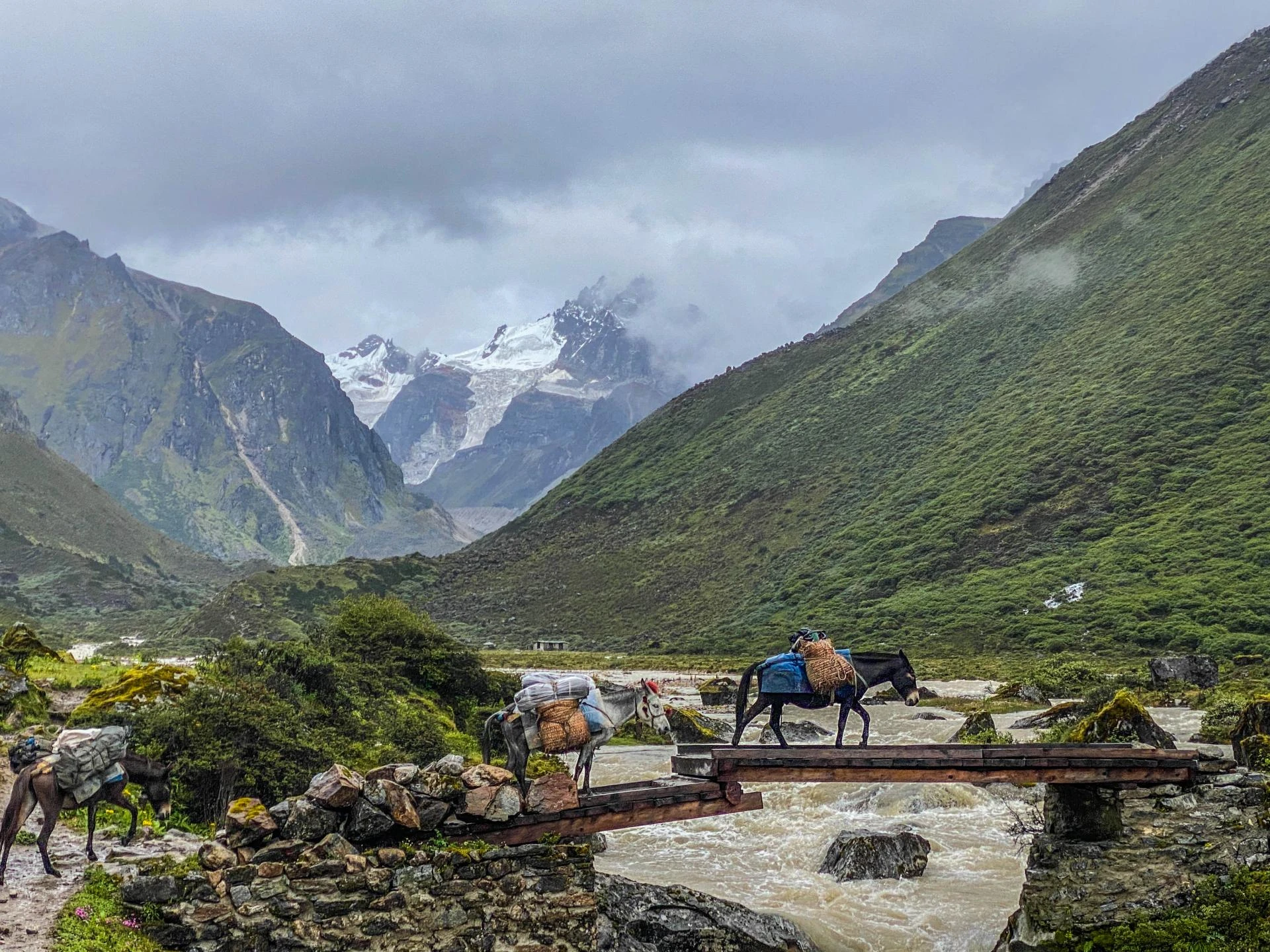 Tour Bhutan: Discover the Last Shangri-La on Earth