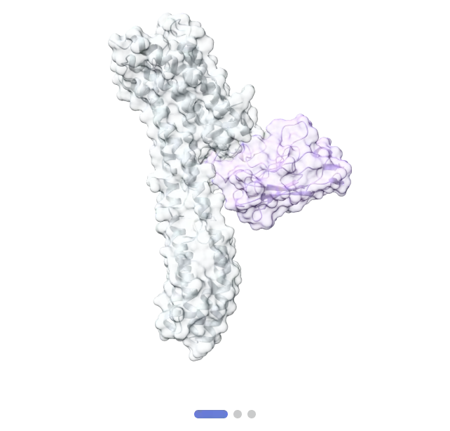 Cryo-EM vs. X-Ray: Which Structural Method Is Best?
