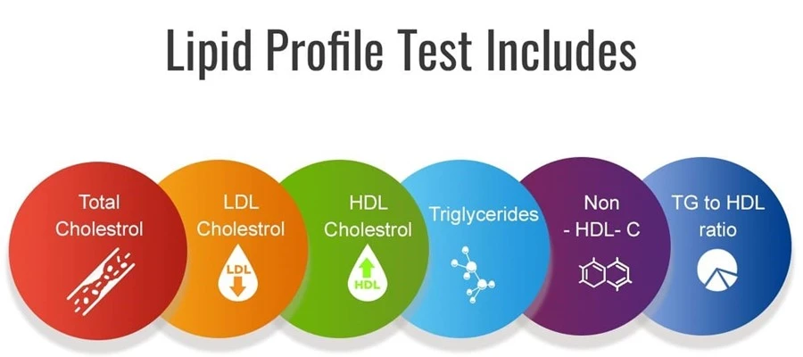 What Are the Normal Lipid Profile Levels? A Complete Guide