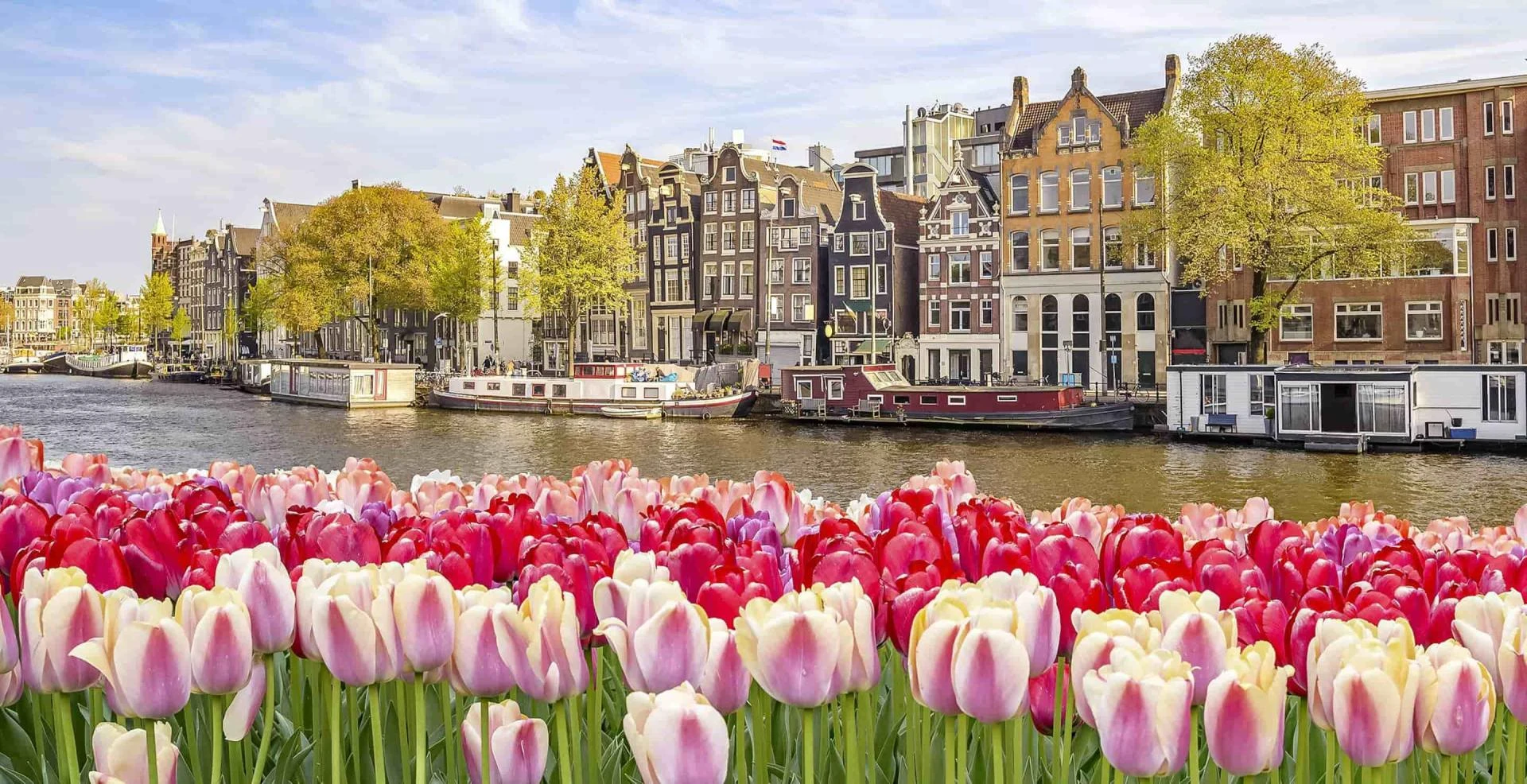 From Eiffel to Canals: A Dream Journey from Paris to Amsterdam