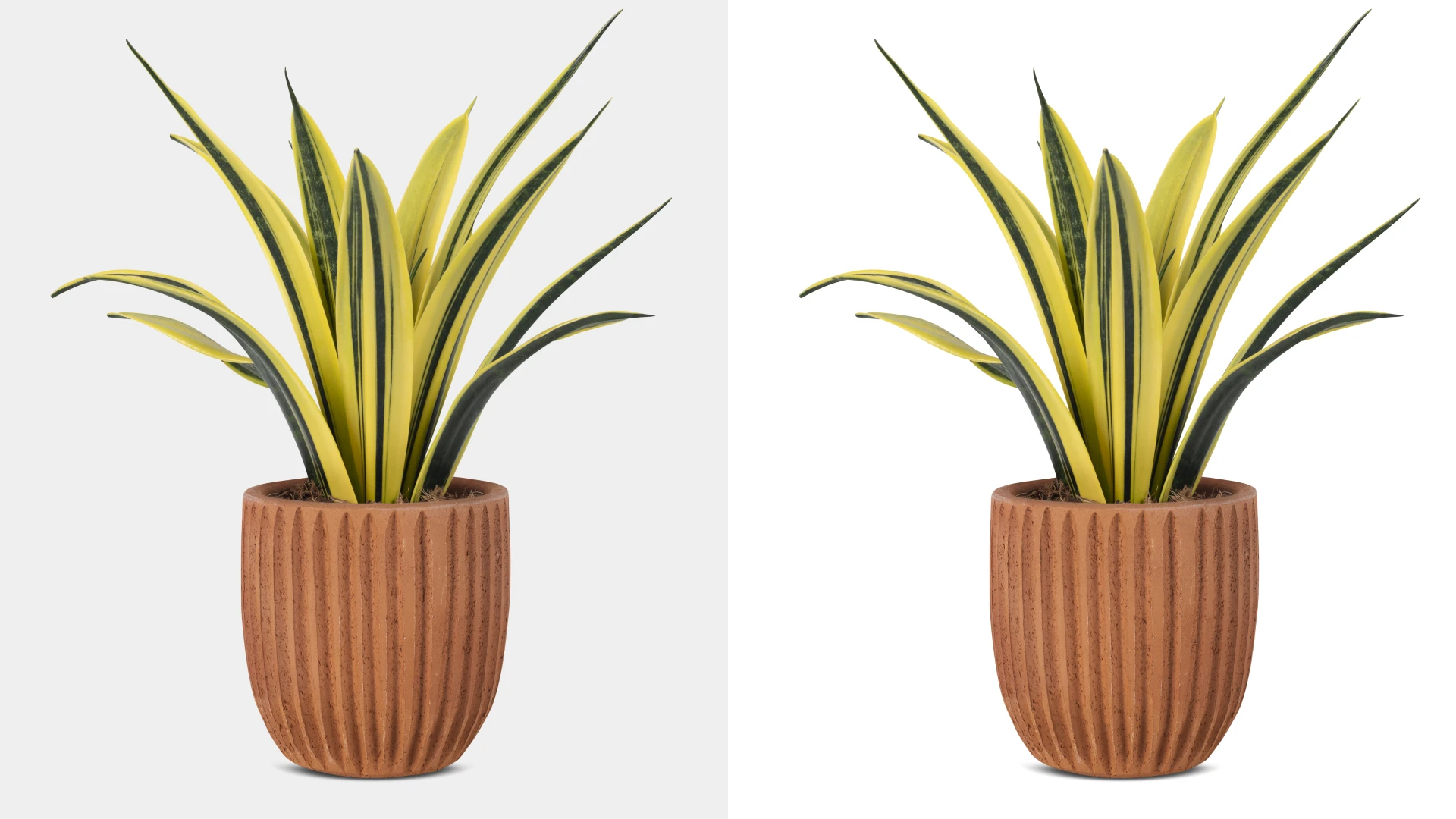 Photoshop Cutout Service: Perfecting Your Visual Story