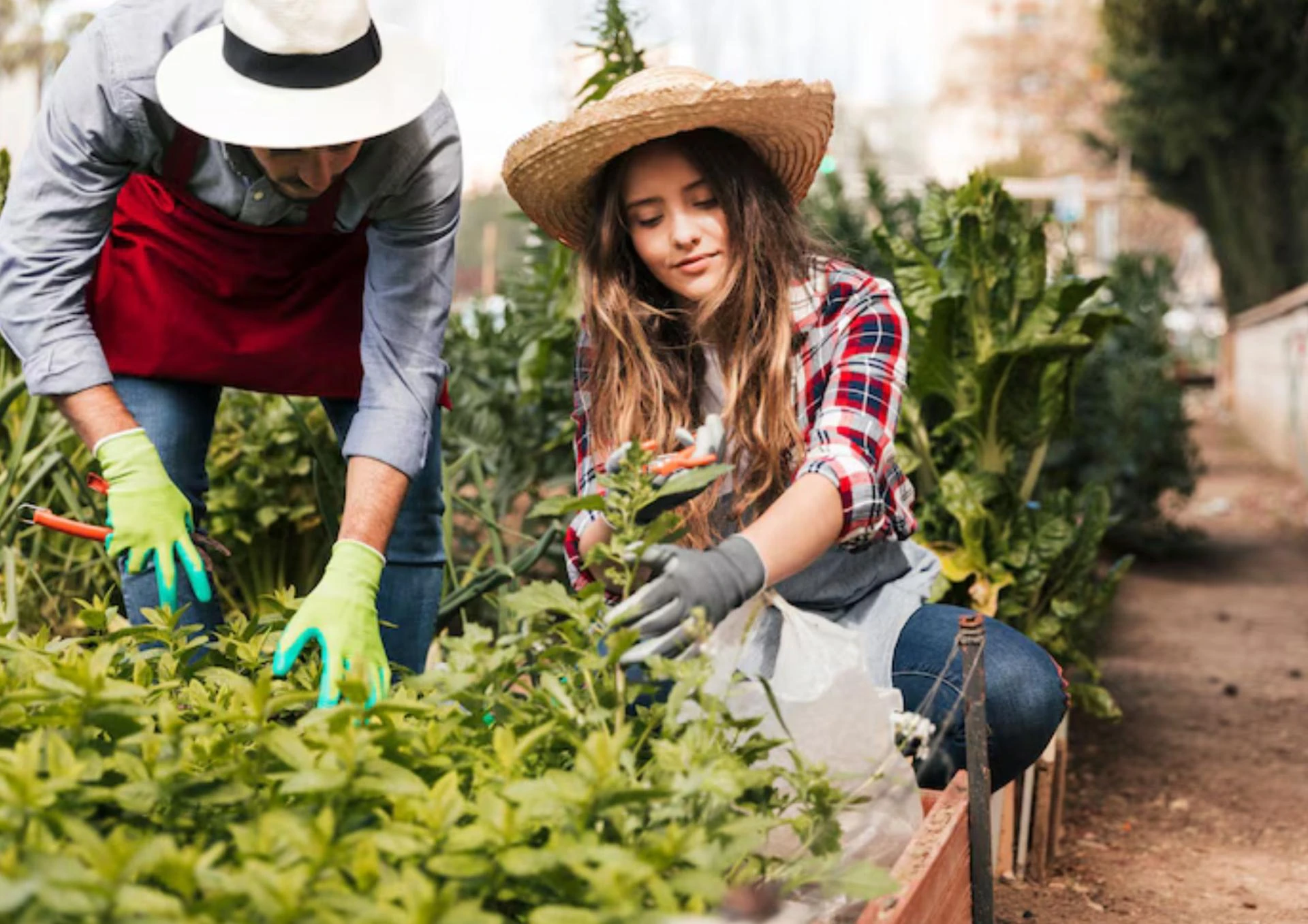 Benefits Of Studying Agriculture Courses After 12th