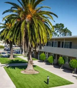 Luxury Artificial Turf Options for Upscale Los Angeles Gardens