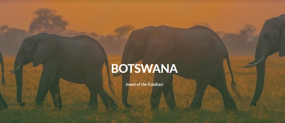 Discover Luxury Botswana Safaris: Exclusive Camps and Untamed Beauty