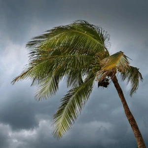 Getting through the hurdles of a storm damage insurance claim