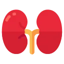 A Second Chance at Life: The Journey of Kidney Transplant Patients in Turkey