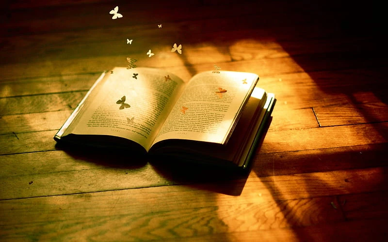 Fairy Tale Book – A Journey into Magical Realms and Enduring Wisdom