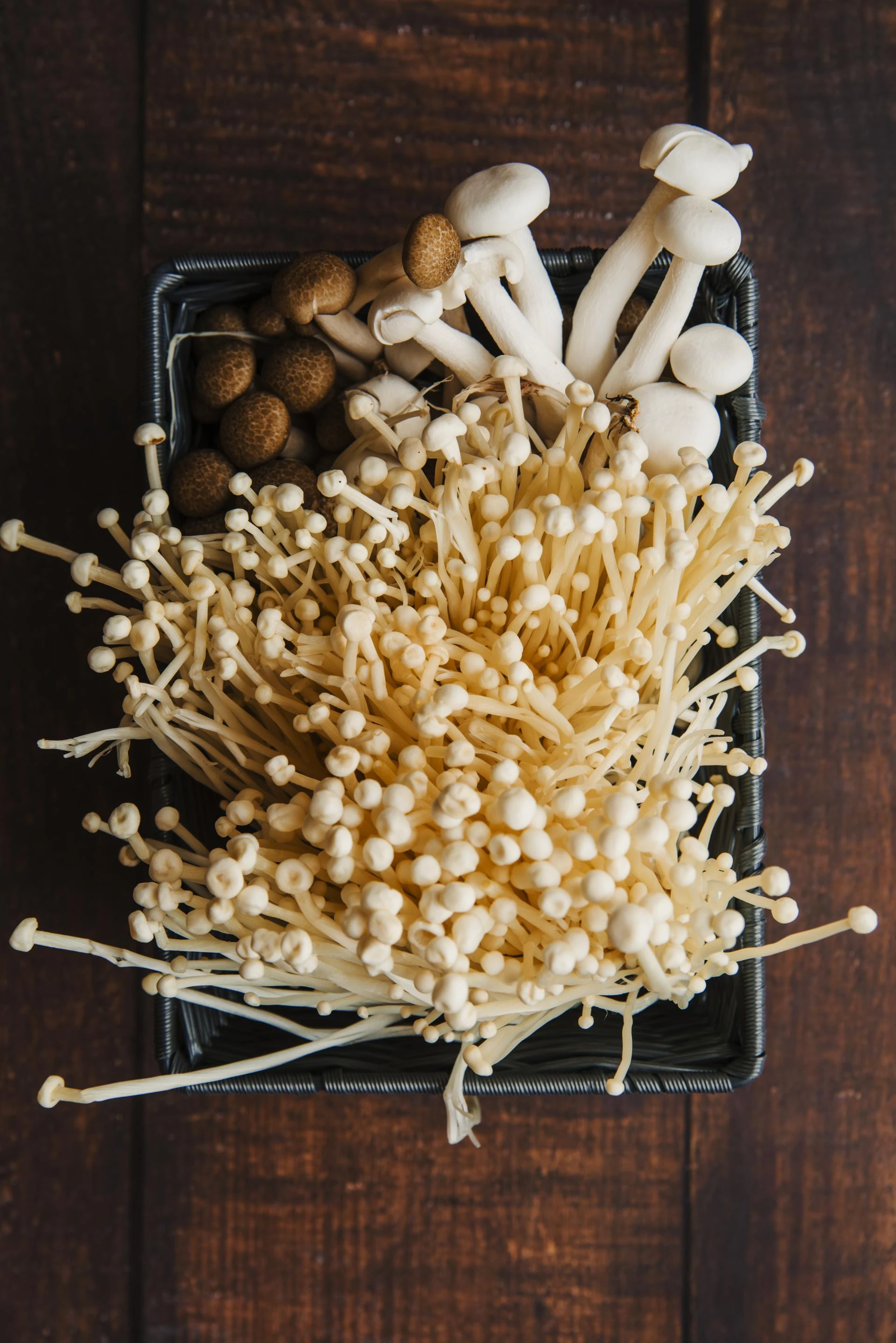 Grow, Eat & Thrive: Everything You Need to Know About Mushroom Spawns and Their Amazing Benefits