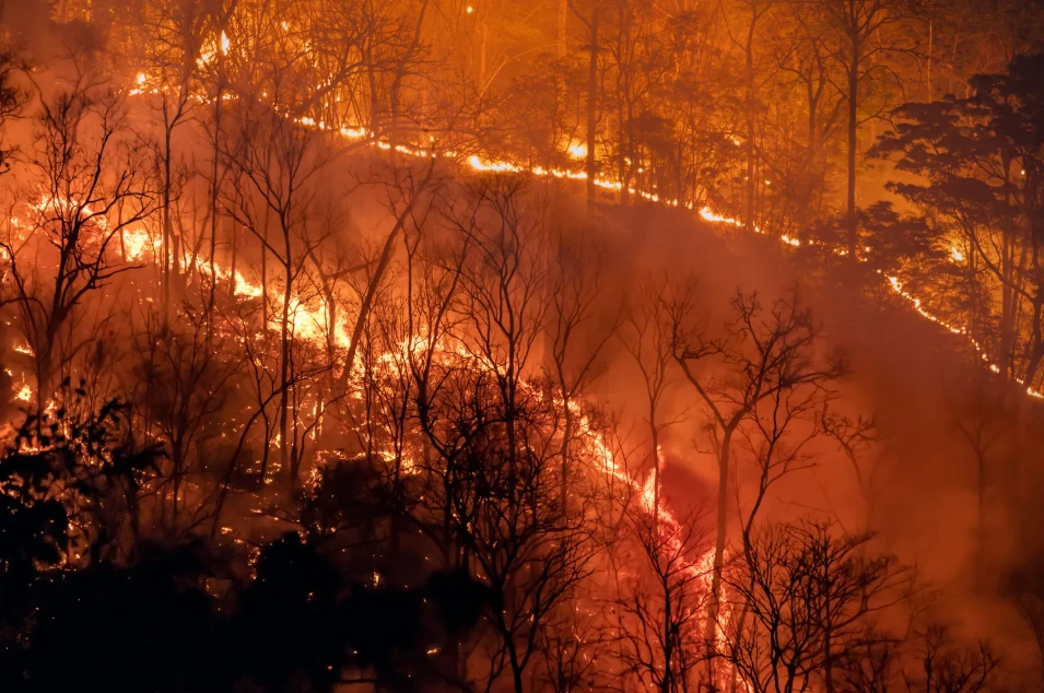Sulphur Fire Lawsuits: Your Legal Rights After Devastating Wildfires