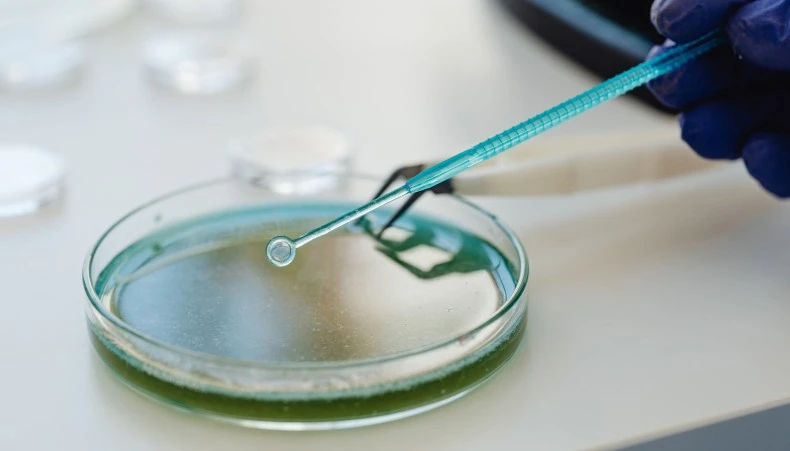 The Vital Role of Clinical Biostatistics in Modern Clinical Trials