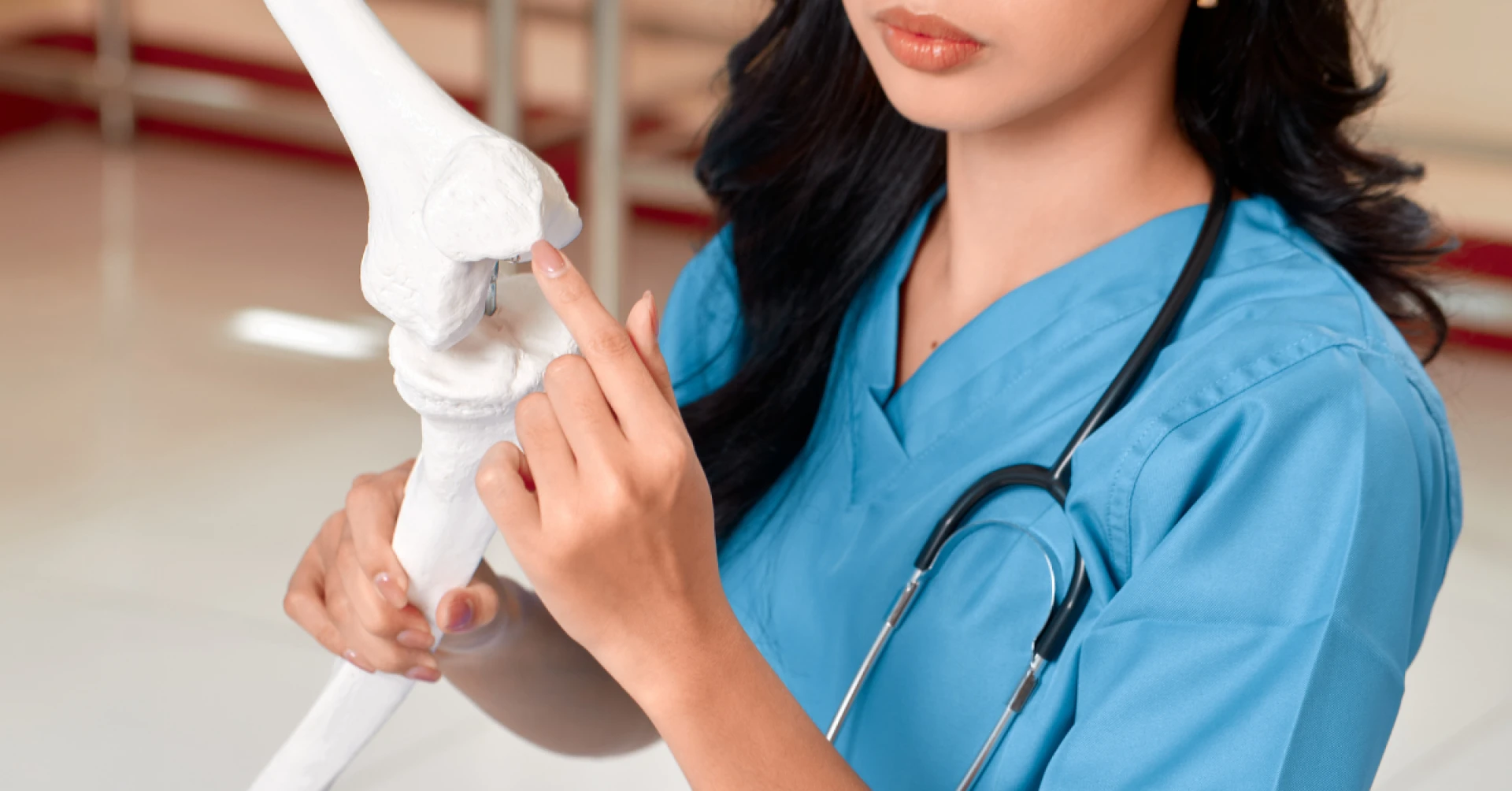 The Complete Guide to Joint Supplements for Dogs: What Every Pet Parent Should Know