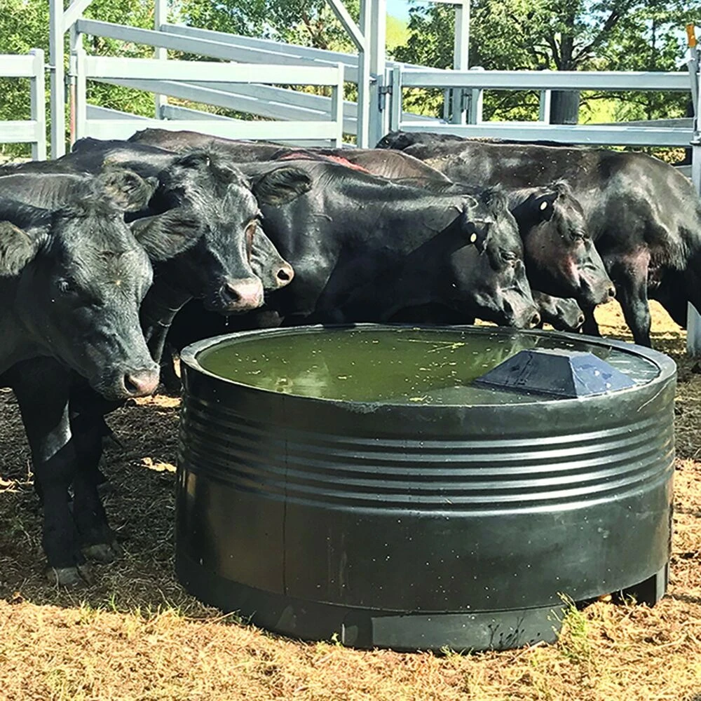 Revolutionise Livestock Care with a Sheep Water Trough