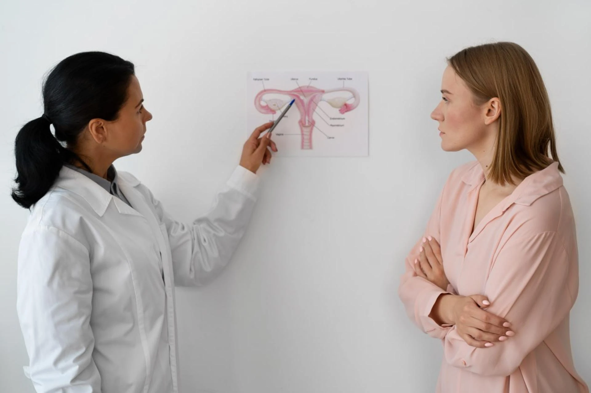 Reproductive endocrinology fundamentals: hormones and their function in fertility