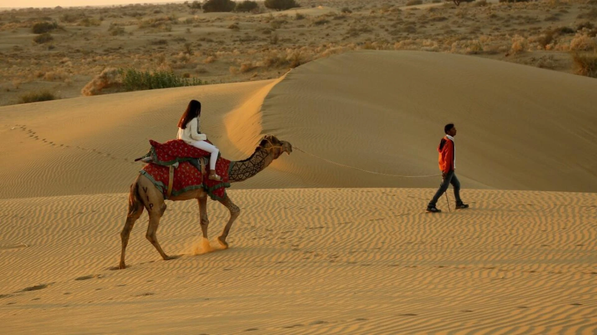 The Ultimate Guide to Planning Your Rajasthan Desert Trip