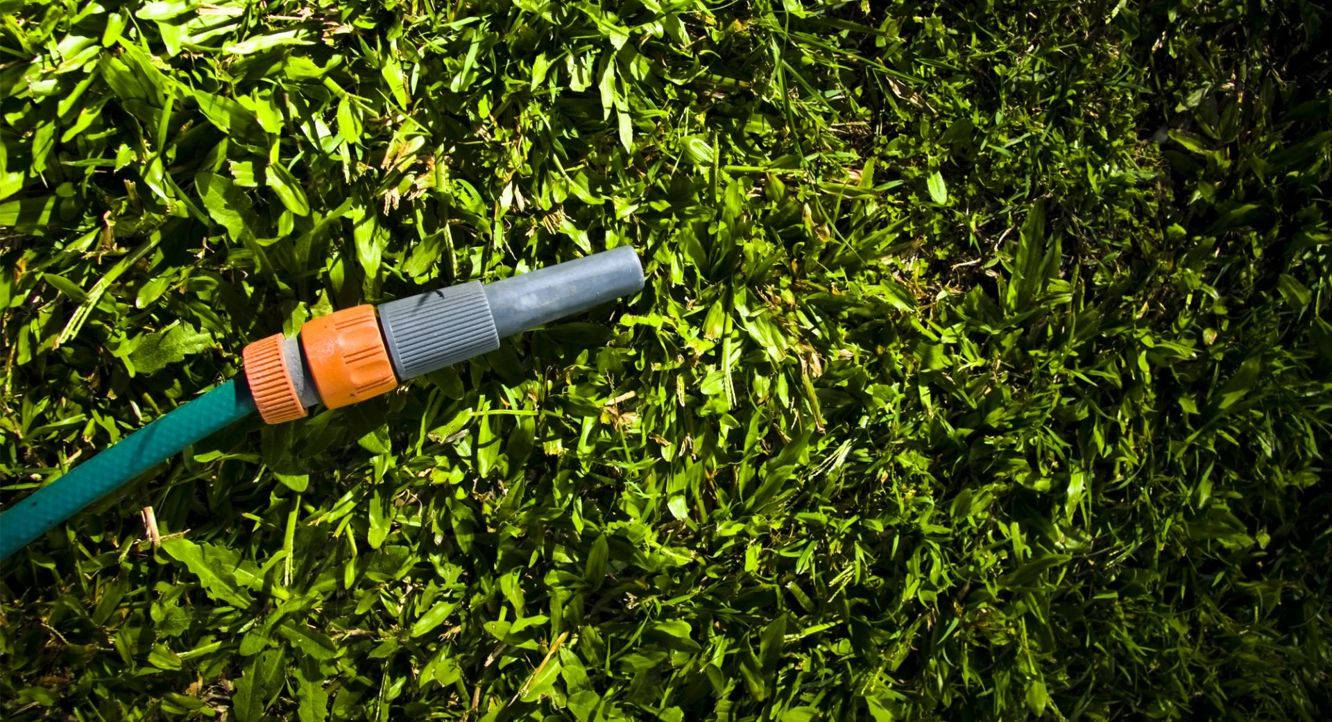 Revamp Your Outdoors: How the Best Landscaping Company Atlanta Can Transform Your Property