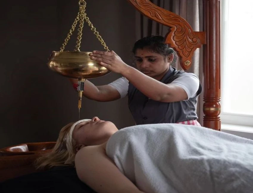 Schlosspark Alt Rehse: Wo Geschichte auf ganzheitliche Gesundheit trifft