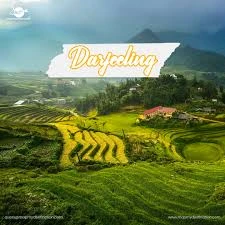 Darjeeling Travel Guide: Tea Gardens, Trains & Tranquility