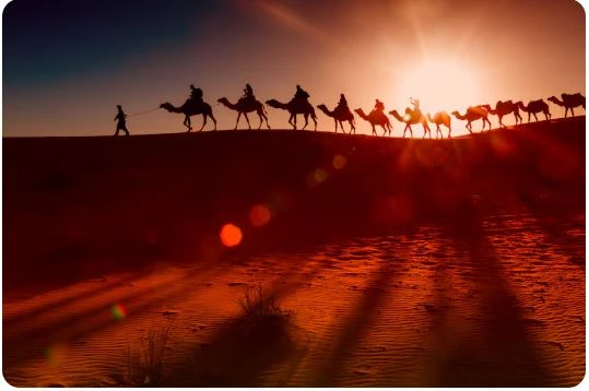 Desert Skies Await: Fly Smart to the Middle East