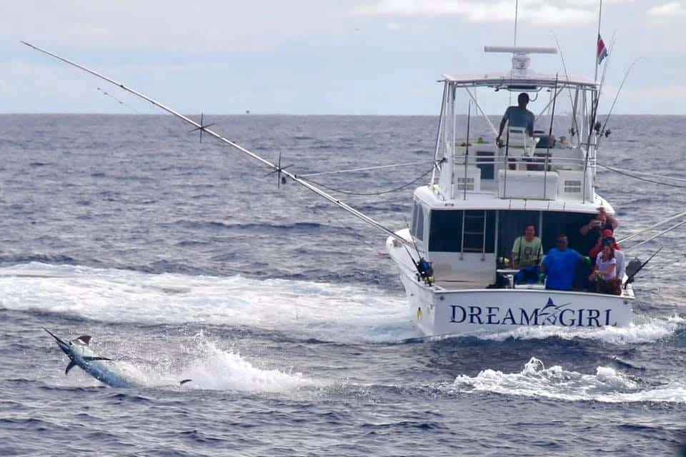 Beyond the Horizon: A Deep Sea Fishing Adventure