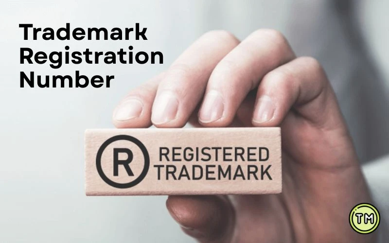 How to find Trademark Registration Number?